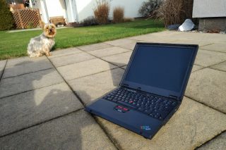 IBM ThinkPad A21e with dog 1