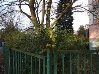 Lenovo Yoga Smart Tab - hlavní kamera