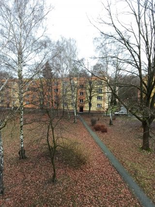 IMG 20220105 121216 064