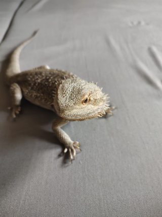 Fotka za dobrého osvětlení