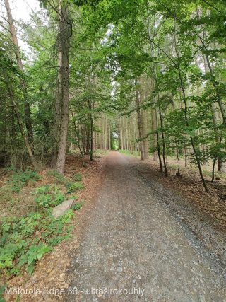 Motorola Edge 30 fotografie ultrawide-06