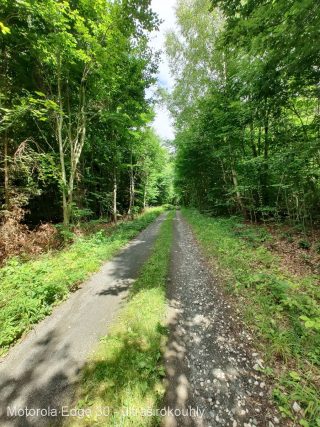 Motorola Edge 30 fotografie ultrawide-10