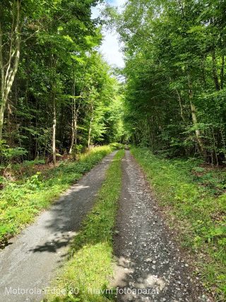 Motorola Edge 30 fotografie wide-11