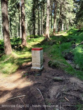 Motorola Edge 30 fotografie wide-23