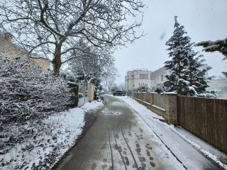 IMG 20230122 141757991 HDR