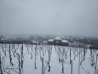 IMG 20230122 141911963