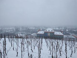 IMG 20230122 141913886