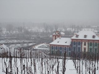 IMG 20230122 141920536