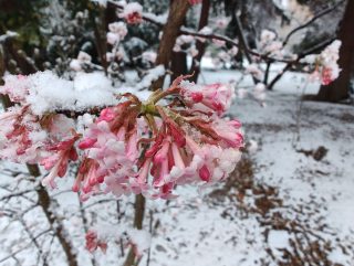 IMG 20230122 142355945