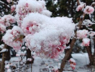 IMG 20230122 142409863