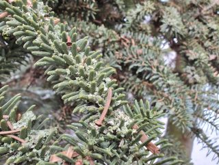 IMG 20230122 143028930 HDR