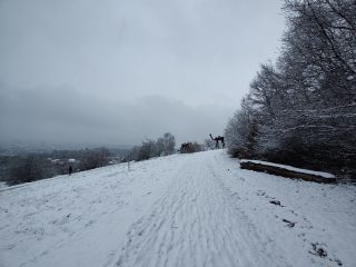 IMG 20230122 150031158