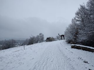 IMG 20230122 150034380