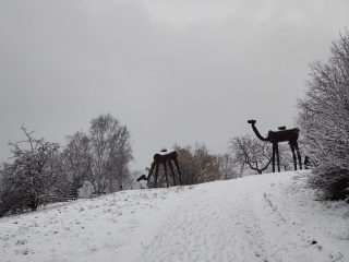 IMG 20230122 150037934