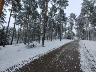 IMG 20230122 150319341