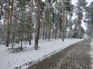 IMG 20230122 150322164