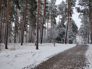 IMG 20230122 150330366