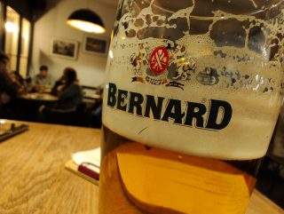 IMG 20230130 180154395