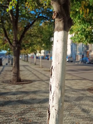 IMG 20230905 181415971 MF PORTRAIT