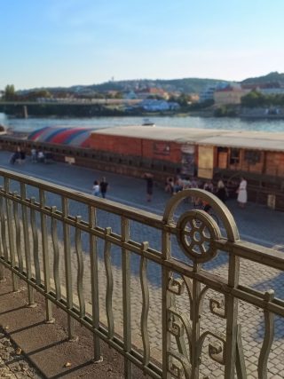 IMG 20230905 181505480 MF PORTRAIT