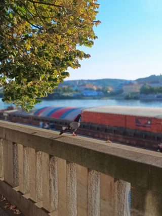 IMG 20230905 181534202 MF PORTRAIT