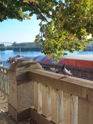 IMG 20230905 181601576 MF PORTRAIT