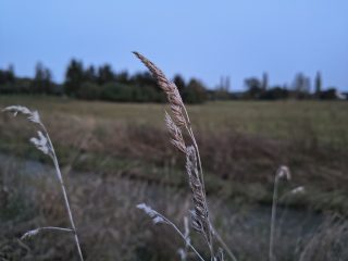 IMG 20240919 193008152 HDR