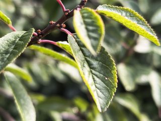 IMG 20240929 111952845 HDR