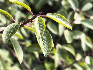 IMG 20240929 112002807 HDR