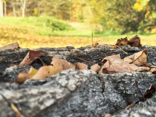 IMG 20241028 103910350 HDR